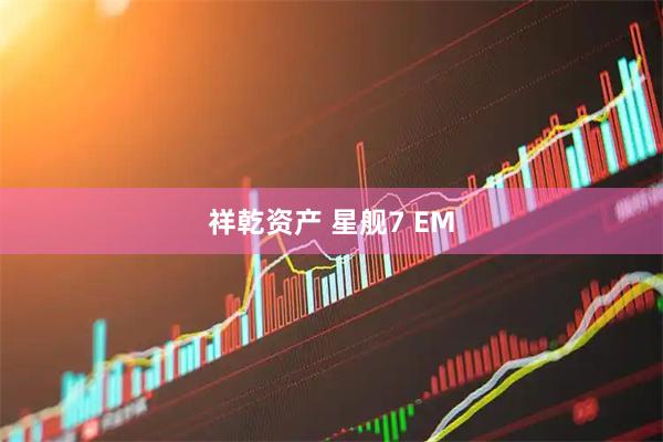 祥乾资产 星舰7 EM