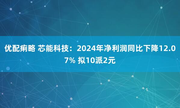 优配痢略 芯能科技：2024年净利润同比下降12.07% 拟10派2元
