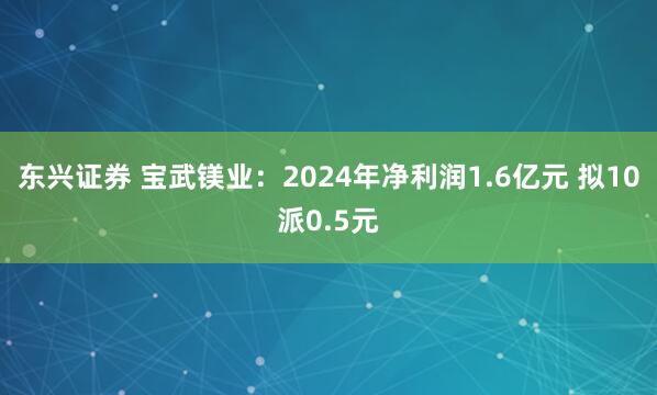 东兴证券 宝武镁业：2024年净利润1.6亿元 拟10派0.5元