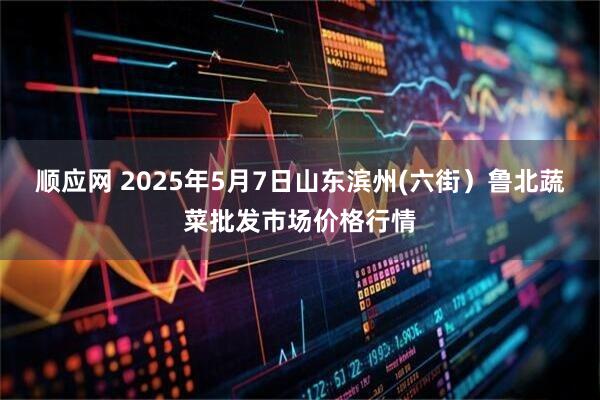 顺应网 2025年5月7日山东滨州(六街）鲁北蔬菜批发市场价格行情