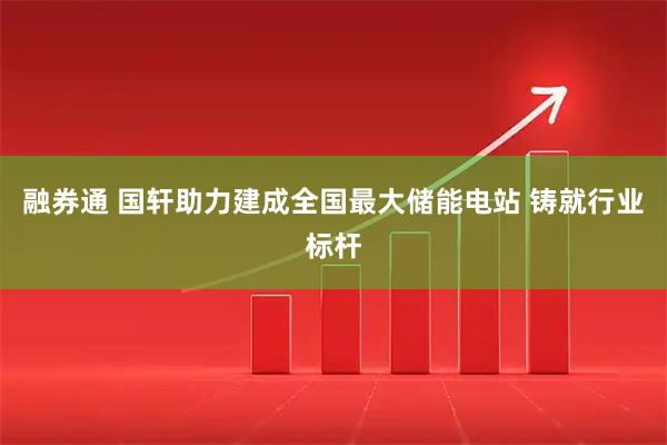 融券通 国轩助力建成全国最大储能电站 铸就行业标杆
