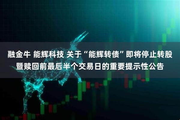 融金牛 能辉科技 关于“能辉转债”即将停止转股暨赎回前最后半个交易日的重要提示性公告