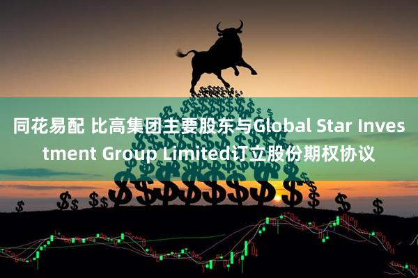 同花易配 比高集团主要股东与Global Star Investment Group Limited订立股份期权协议
